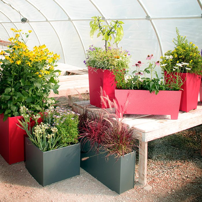 products.gallery.thumbnail_alt