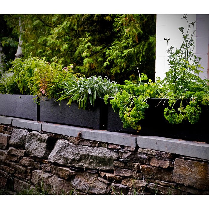 products.gallery.thumbnail_alt